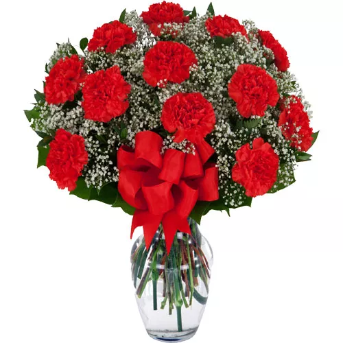 Eye Pleasing Red Carnations