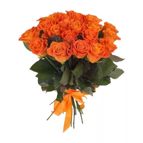 Bright Orange Roses