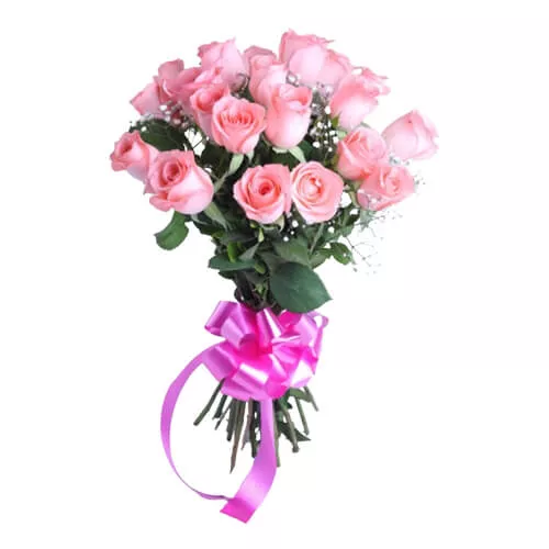 Stunning Pink Roses