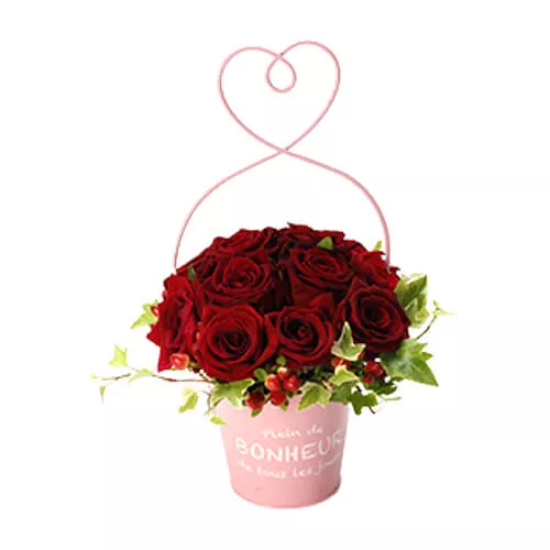 Red Roses Pot