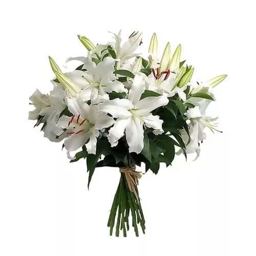 White Lily Peridot