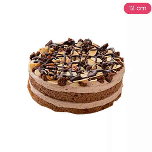 Delicious Belgium Chocolate Cake