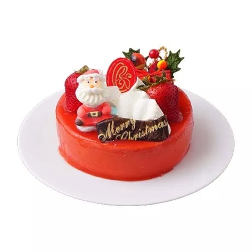 Delicious Cake for Christmas