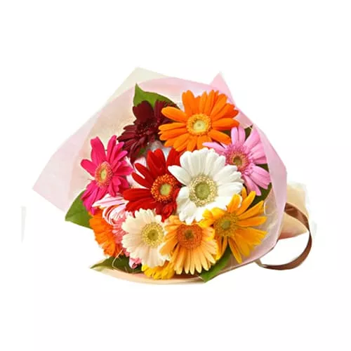 Carnations & Colorful Gerberas Bouquet