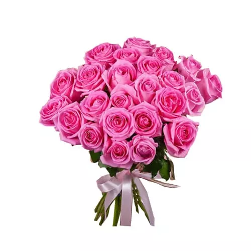 Send Blushing Elegance: 24 Pink Roses Bouquet To Japan