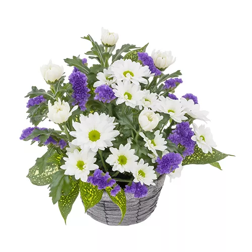 Tranquil Offering of Flowers
