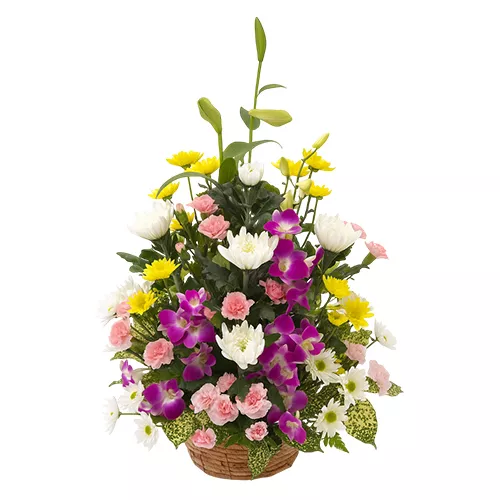 Serene Floral Fusion Arrangement