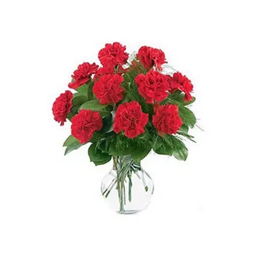 Striking 12 Red Carnations