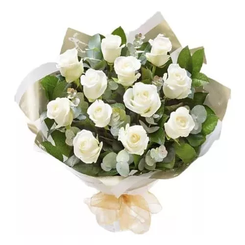 Blissful White Roses